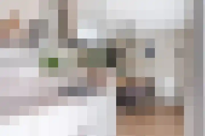 Jaagvelden 32 Best thumbnail 19