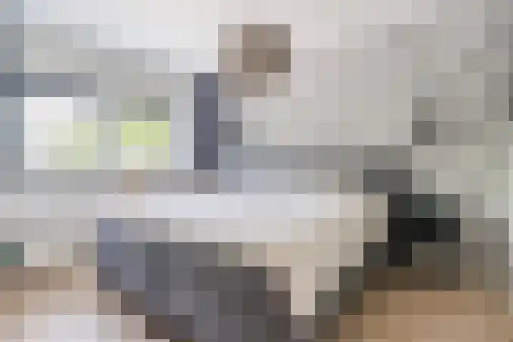 Jaagvelden 32 Best thumbnail 23