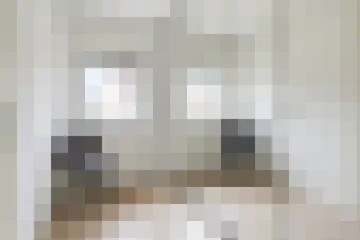 Jaagvelden 32 Best thumbnail 26