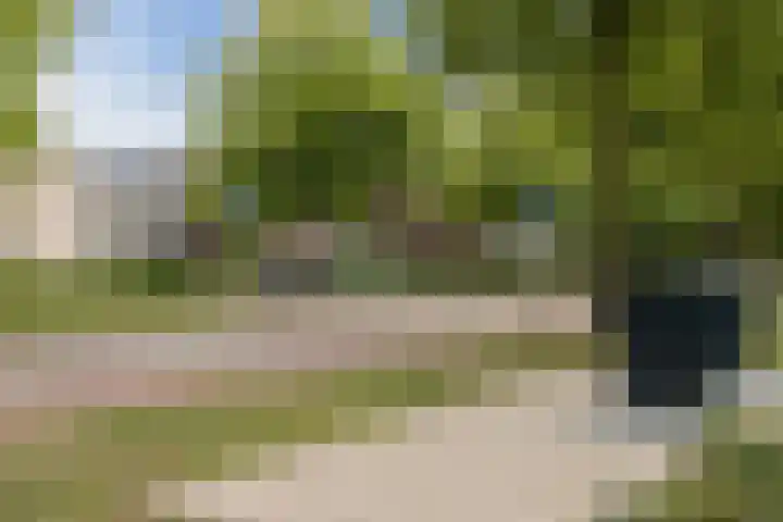 Jaagvelden 32 Best thumbnail 38