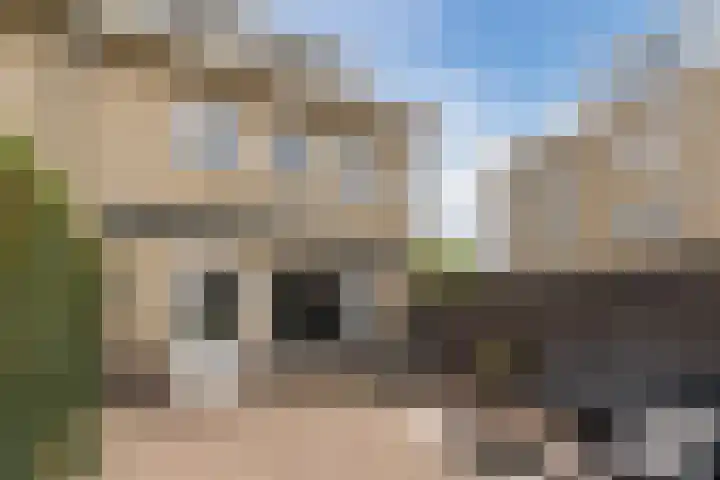 Jaagvelden 32 Best thumbnail 7