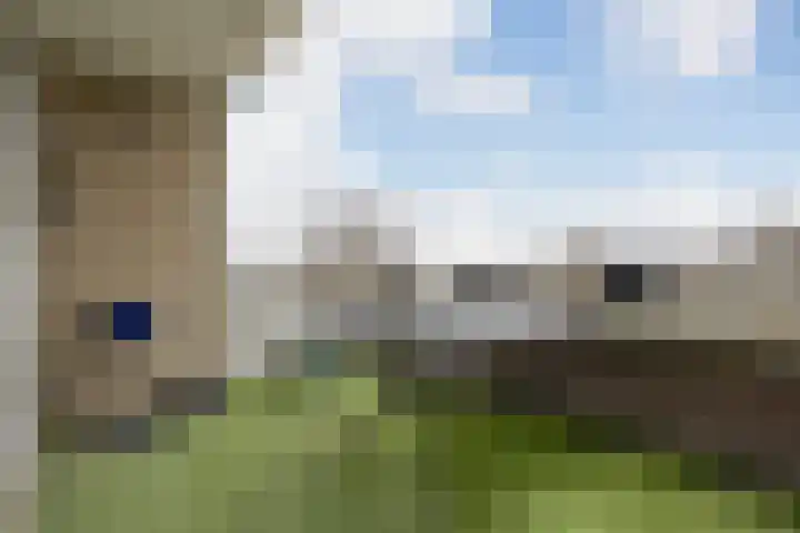 Jaagvelden 48 Best thumbnail 14