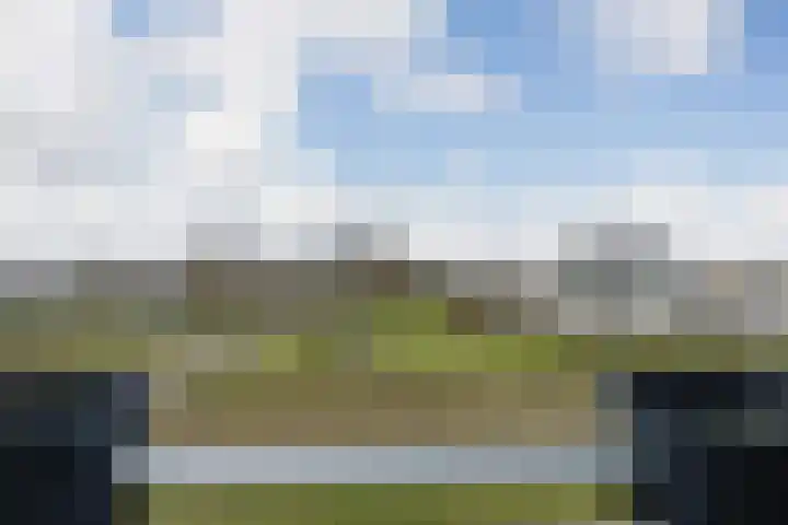 Jaagvelden 48 Best thumbnail 15