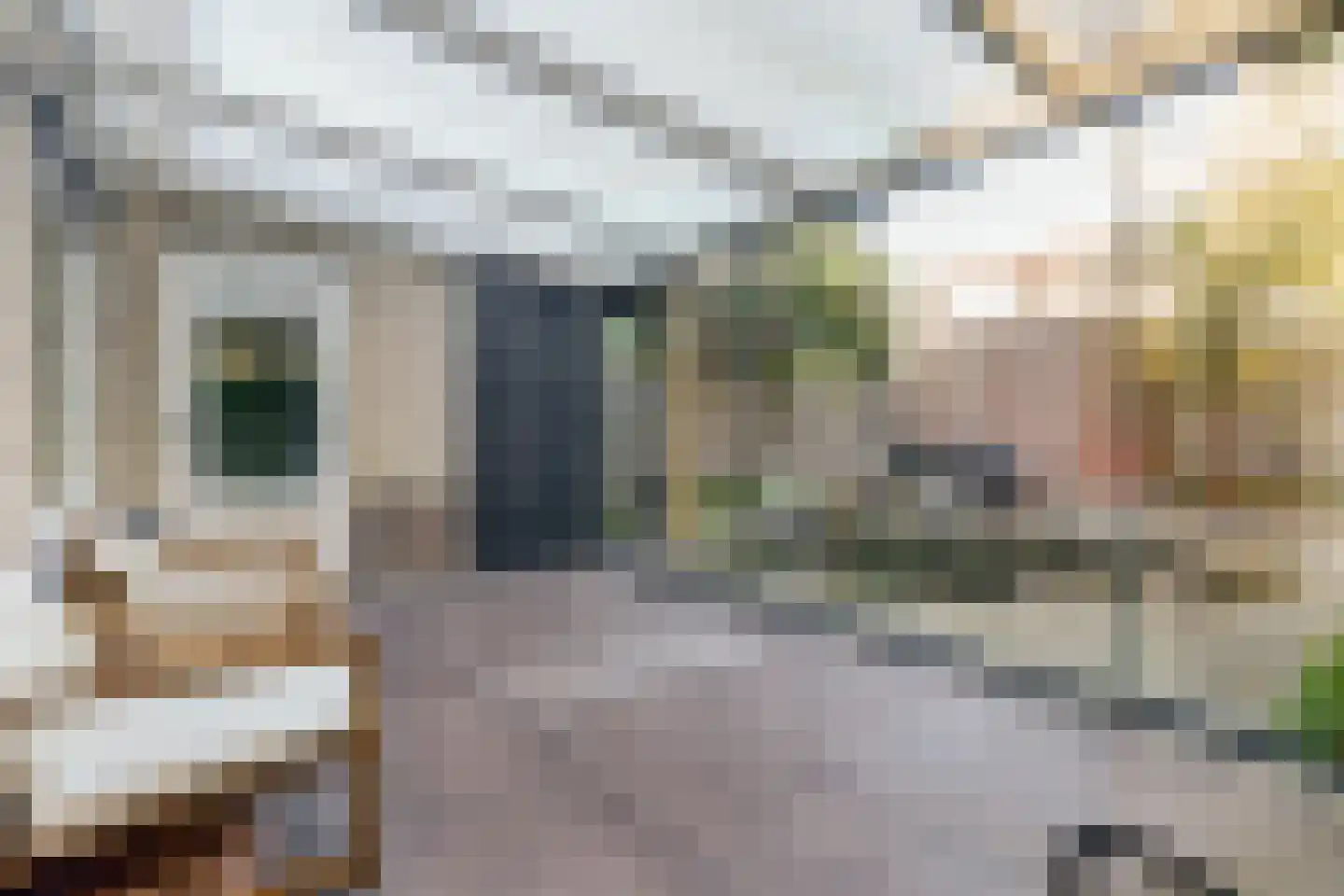 Jaagvelden 56 Best thumbnail 30