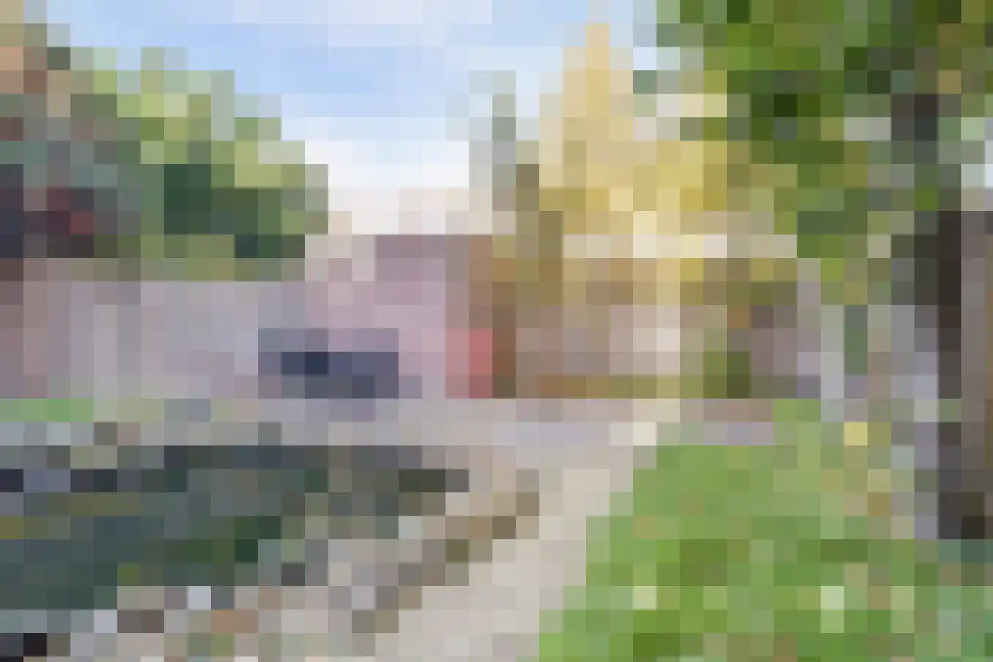 Jaagvelden 56 Best thumbnail 33