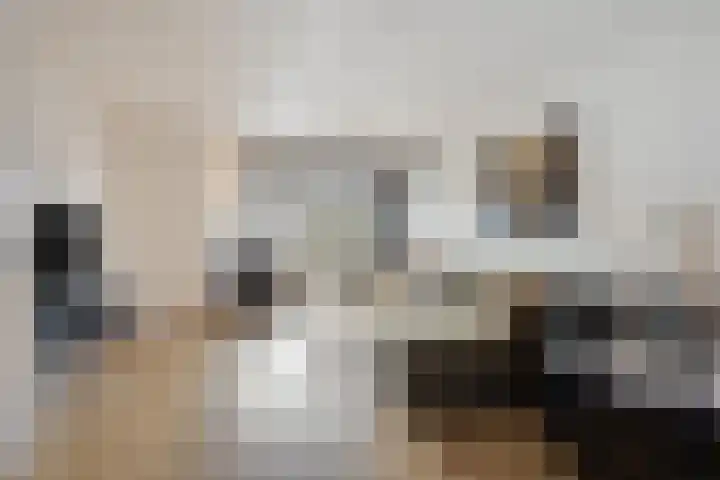 Jaagvelden 64 Best thumbnail 12