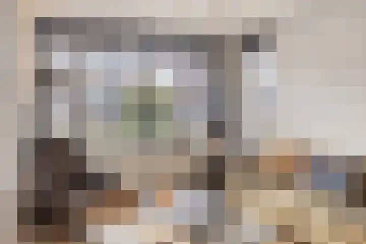 Jaagvelden 64 Best thumbnail 13
