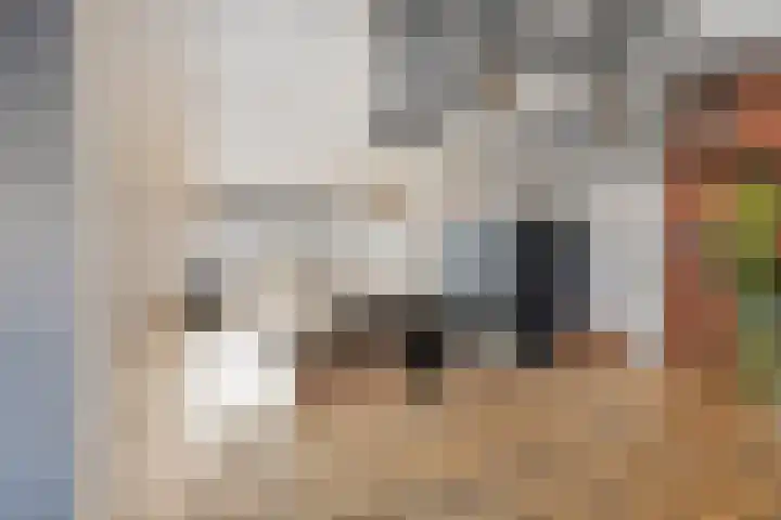 Jaagvelden 64 Best thumbnail 15