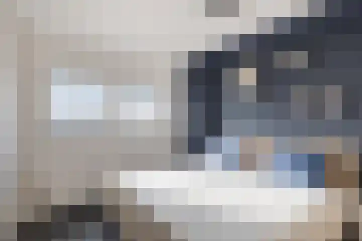 Jaagvelden 64 Best thumbnail 20