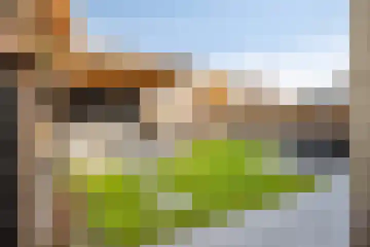Jaagvelden 64 Best thumbnail 34