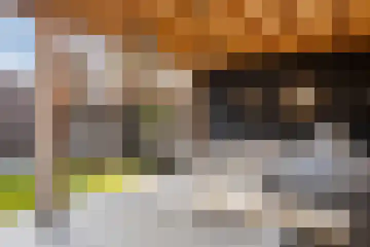 Jaagvelden 64 Best thumbnail 35