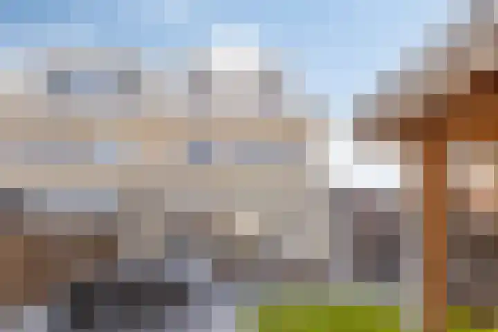 Jaagvelden 64 Best thumbnail 37