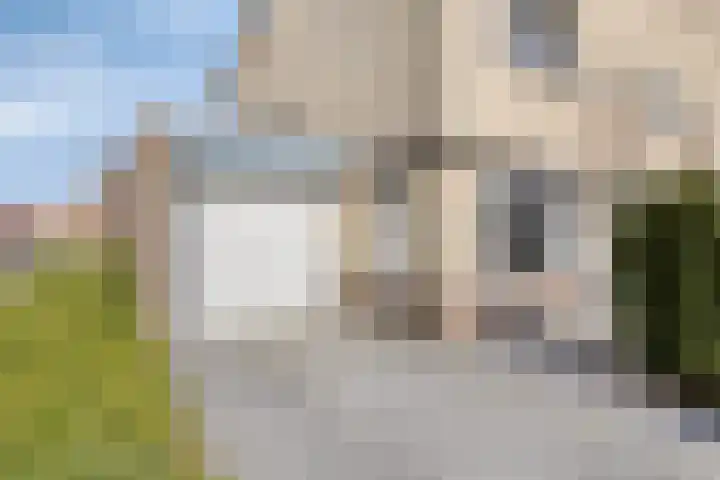 Jaagvelden 64 Best thumbnail 38