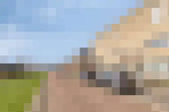Jaagvelden 64 Best thumbnail 39