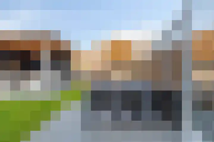Jaagvelden 64 Best thumbnail 4