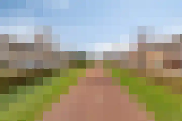 Jaagvelden 64 Best thumbnail 40