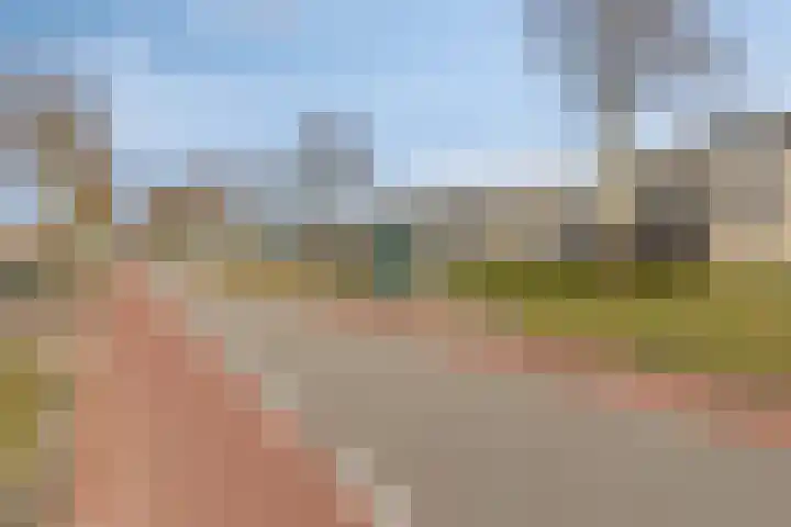Jaagvelden 64 Best thumbnail 41