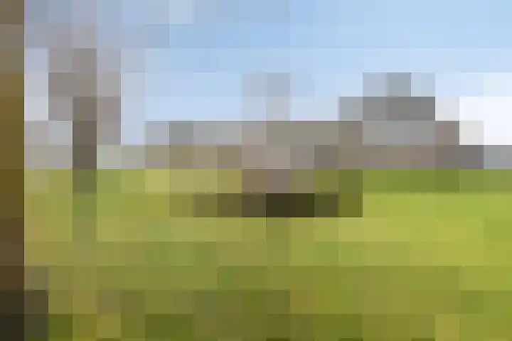 Jaagvelden 64 Best thumbnail 42