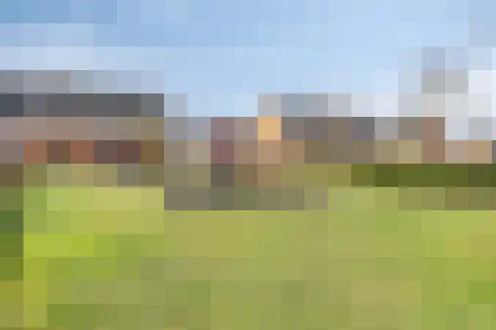 Jaagvelden 64 Best thumbnail 43