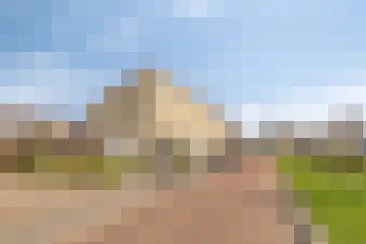 Jaagvelden 64 Best thumbnail 6