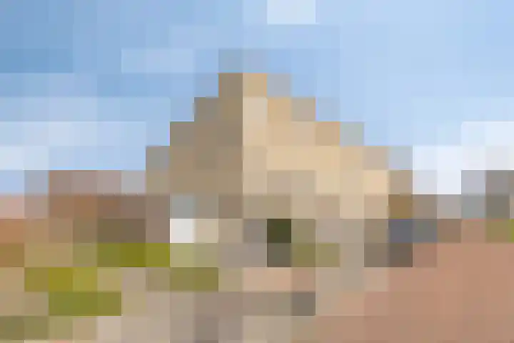 Jaagvelden 64 Best thumbnail 7