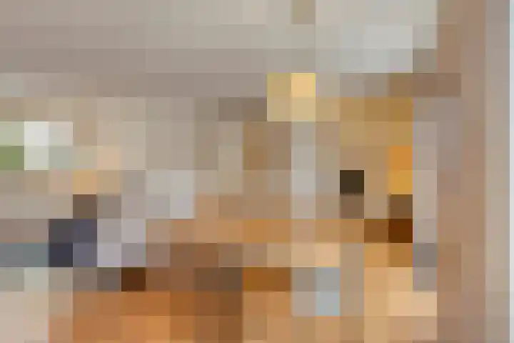 Jaagvelden 84 Best thumbnail 13