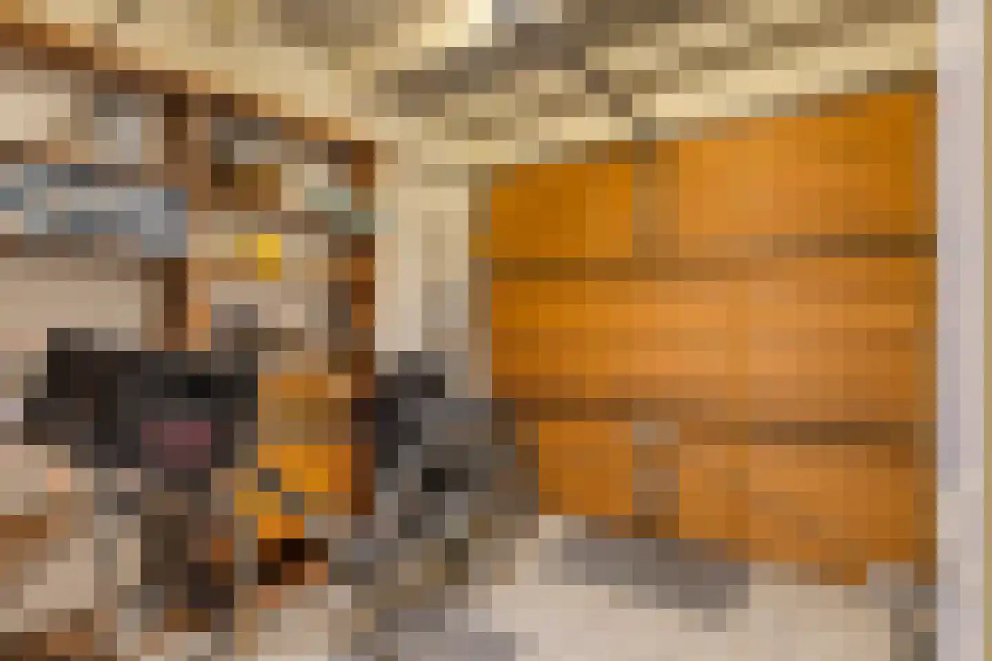 Jaagvelden 84 Best thumbnail 19