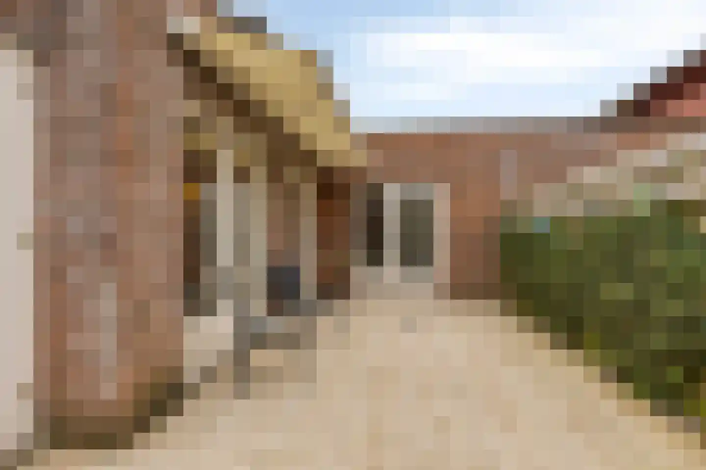 Jaagvelden 84 Best thumbnail 20