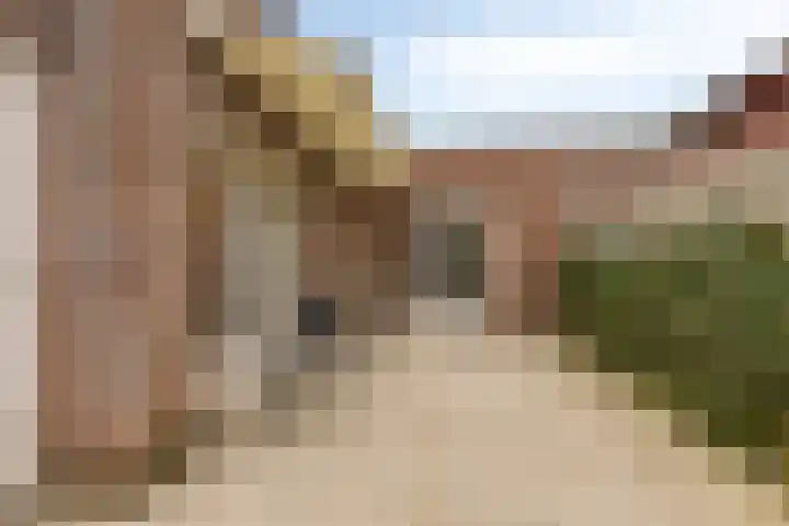 Jaagvelden 84 Best thumbnail 20