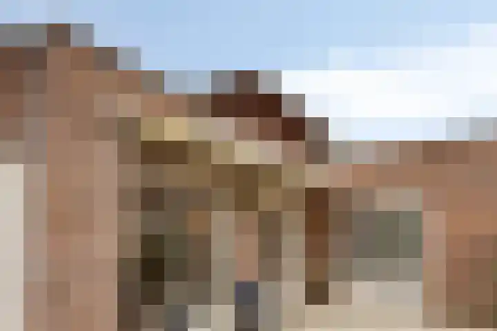 Jaagvelden 84 Best thumbnail 22