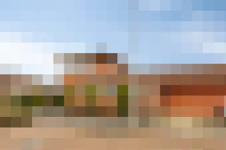 Jaagvelden 84 Best thumbnail 28