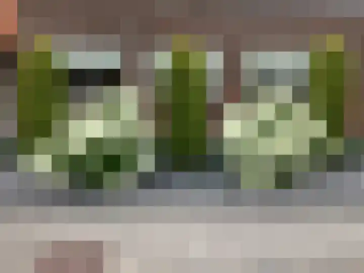 Jaagvelden 84 Best thumbnail 30