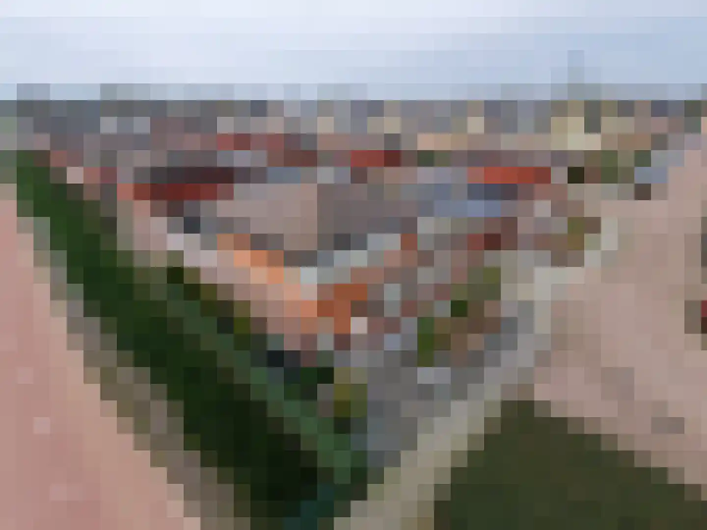 Jaagvelden 84 Best thumbnail 4