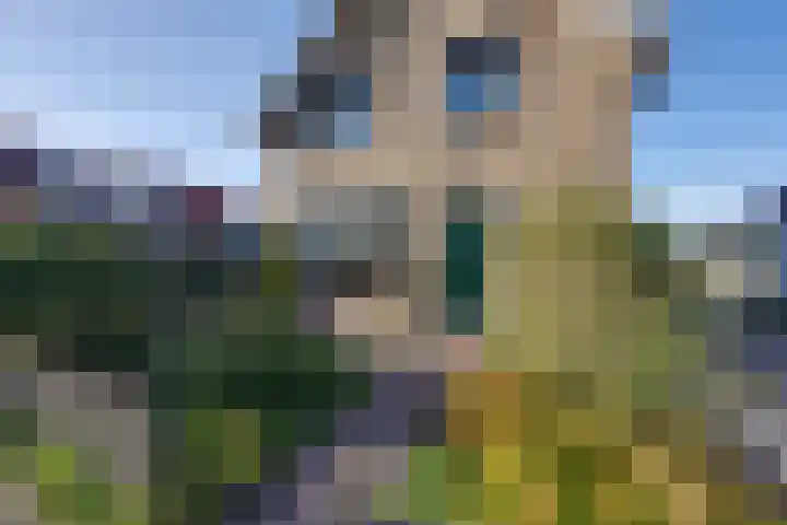 Jaagweg 11 Avenhorn thumbnail 9
