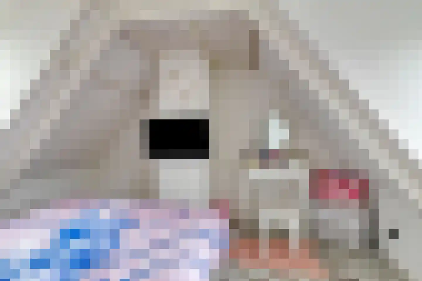 Jaagweg 25 Avenhorn thumbnail 16