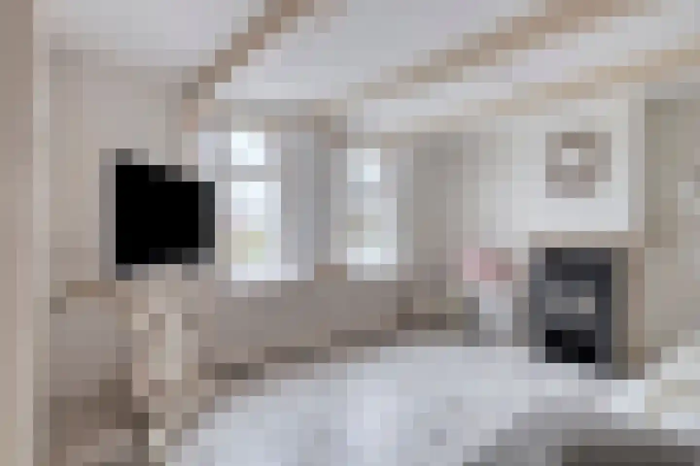 Jaagweg 25 Avenhorn thumbnail 8