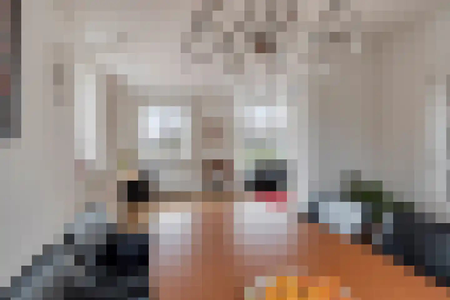Jaagweg 28 Avenhorn thumbnail 10