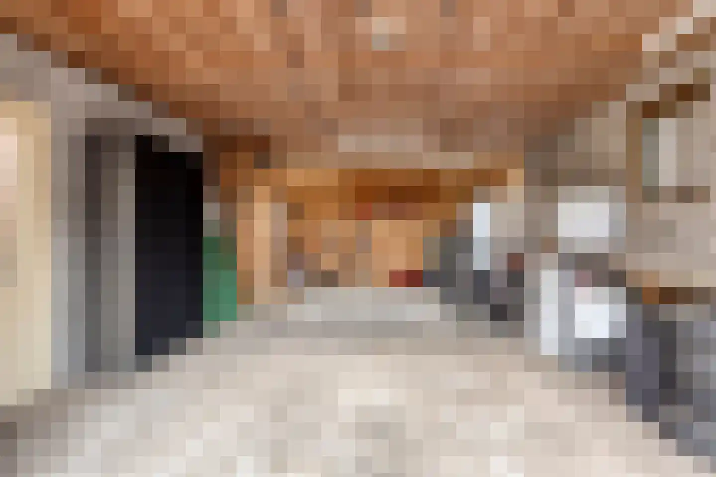 Jaagweg 28 Avenhorn thumbnail 47