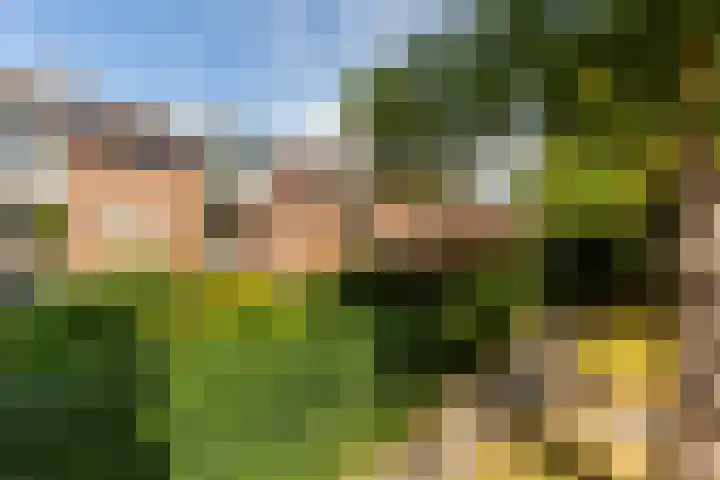 Jaap Buijshof 26 Aerdenhout thumbnail 22
