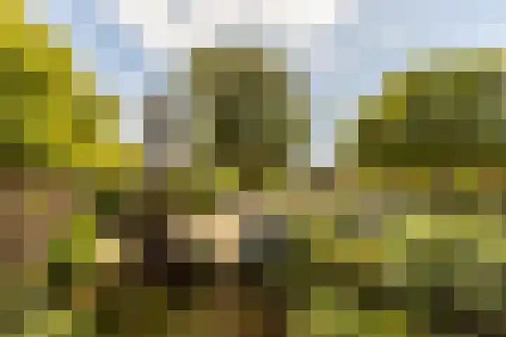 Jaap Buijshof 26 Aerdenhout thumbnail 5