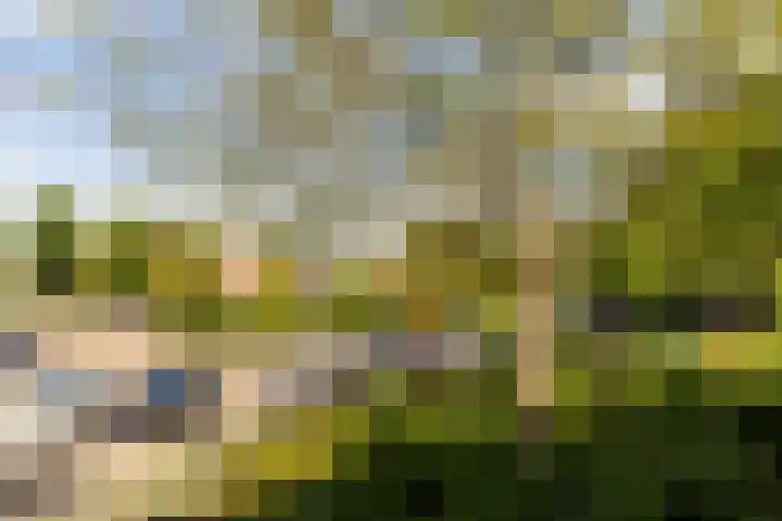 Jaap Buijshof 26 Aerdenhout thumbnail 6