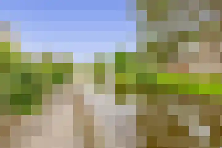Jaap de Boerstraat 18 Westzaan thumbnail 4
