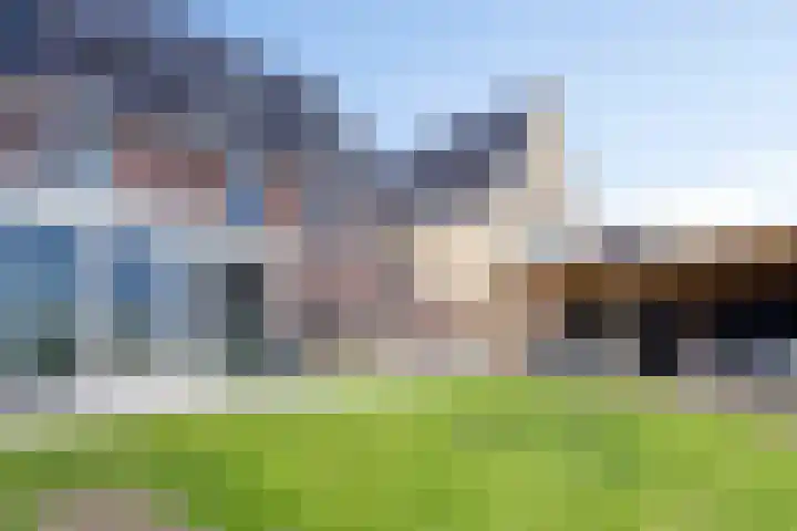 Jaap de Boerstraat 21 Westzaan thumbnail 14