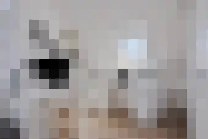 Jaap de Boerstraat 21 Westzaan thumbnail 33