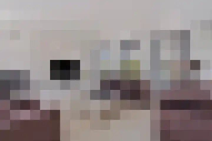 Jaap de Boerstraat 21 Westzaan thumbnail 4