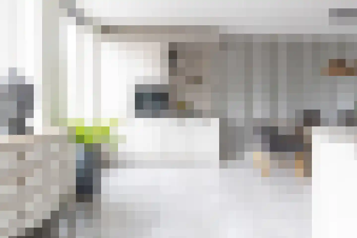 Jaap de Boerstraat 22 Westzaan thumbnail 10