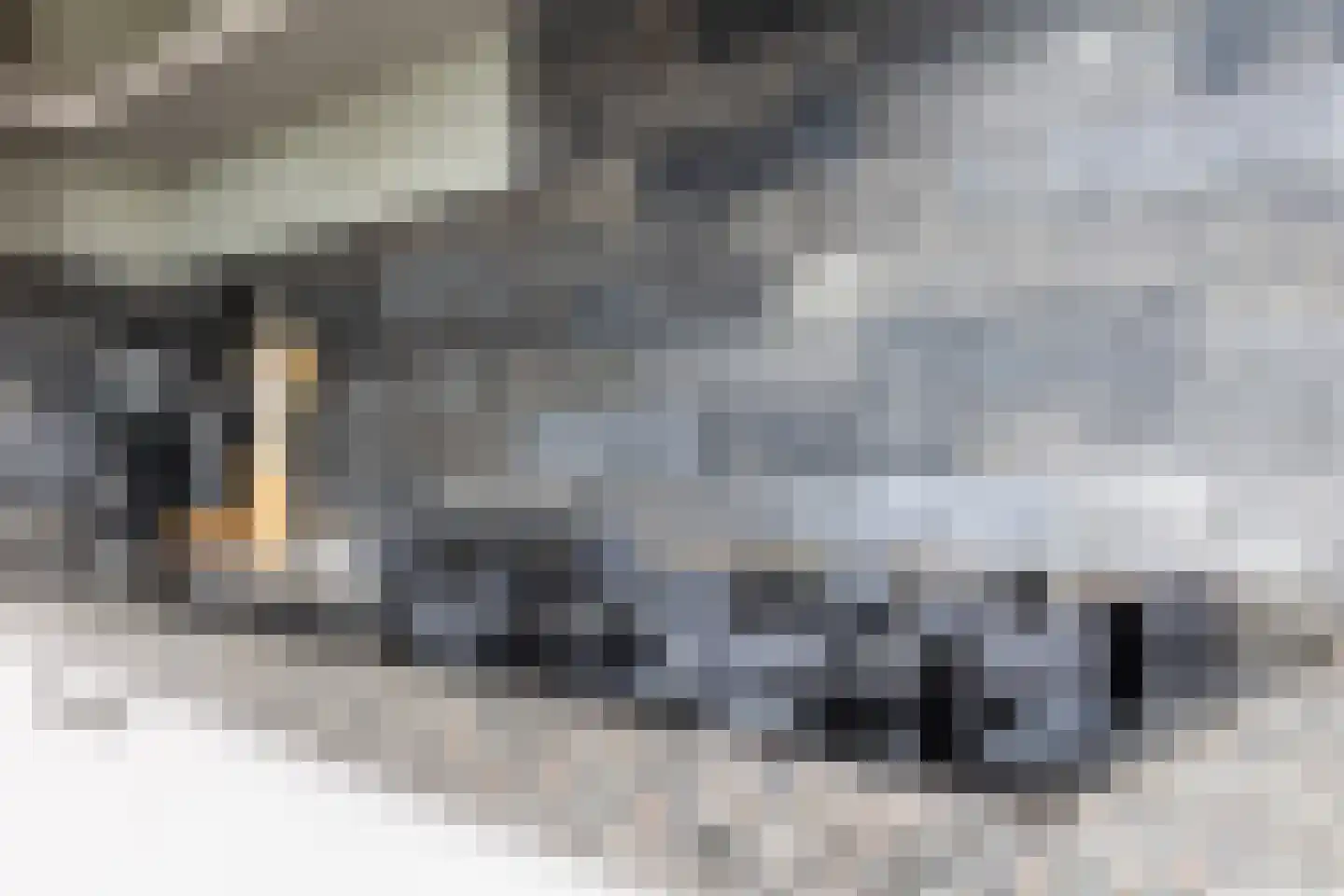 Jaap de Boerstraat 22 Westzaan thumbnail 15