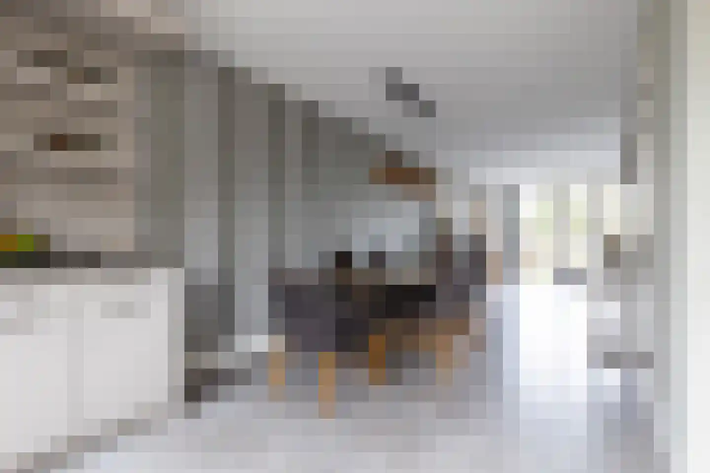 Jaap de Boerstraat 22 Westzaan thumbnail 16