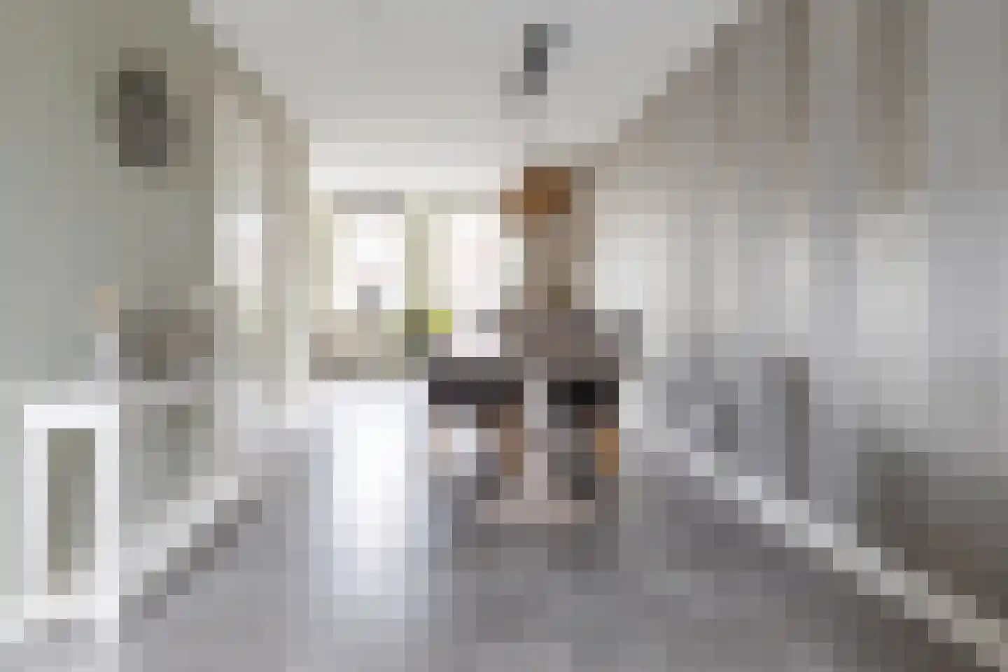 Jaap de Boerstraat 22 Westzaan thumbnail 17