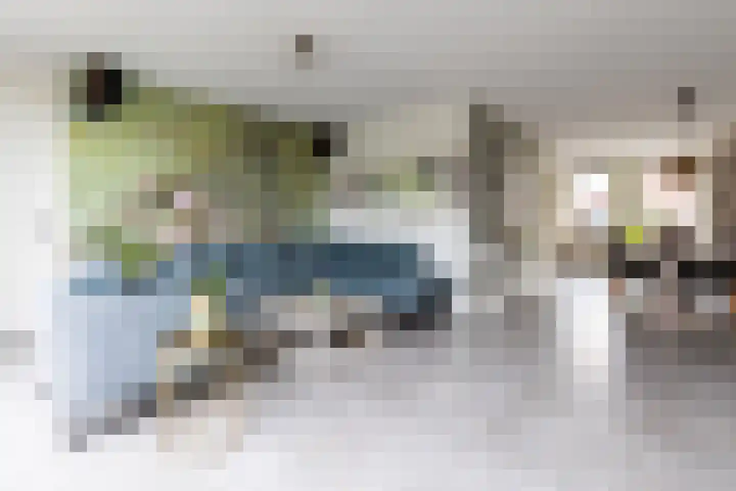 Jaap de Boerstraat 22 Westzaan thumbnail 18